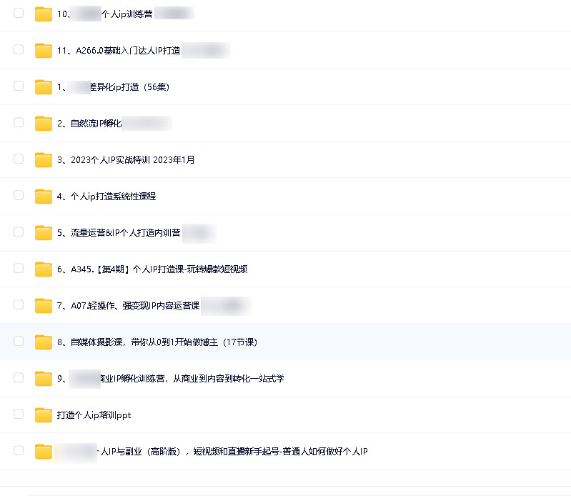 个人IP打造教程合集（13套大V视频文字教学资料）